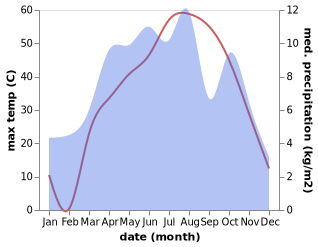 temperature and rainfall during the year in Baraki Barak