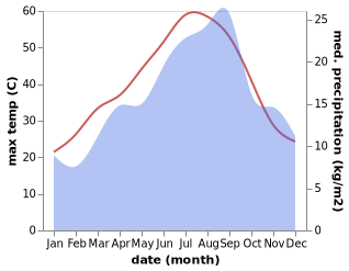 temperature and rainfall during the year in Chlef