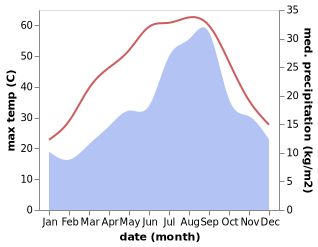 temperature and rainfall during the year in Djamaa