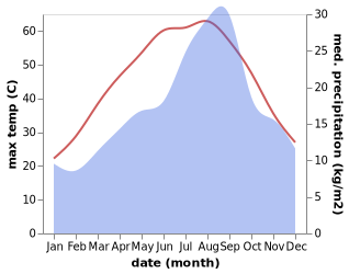 temperature and rainfall during the year in Megarine