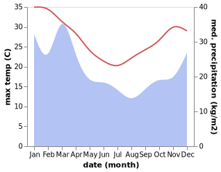 temperature and rainfall during the year in Bellingen