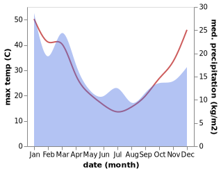 temperature and rainfall during the year in Holbrook