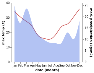 temperature and rainfall during the year in Mitchell