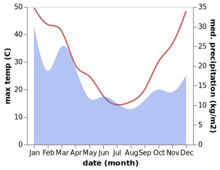 temperature and rainfall during the year in Young