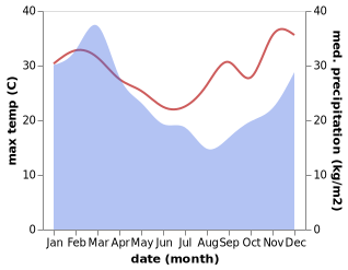 temperature and rainfall during the year in Alexandra Headland