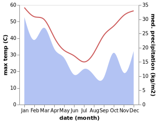 temperature and rainfall during the year in Dirranbandi