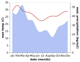 temperature and rainfall during the year in Nelly Bay