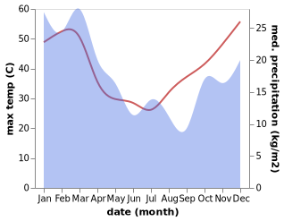 temperature and rainfall during the year in Roma