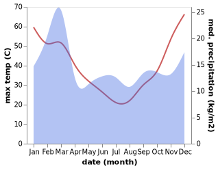 temperature and rainfall during the year in Wongan Hills