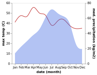 temperature and rainfall during the year in Burhanuddin