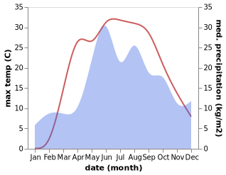 temperature and rainfall during the year in Homyel