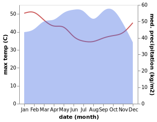 temperature and rainfall during the year in Adjohon