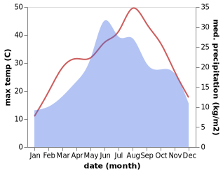 temperature and rainfall during the year in Polski Trumbesh