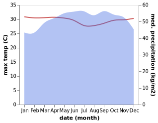 temperature and rainfall during the year in Buea