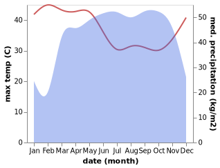 temperature and rainfall during the year in Mamfe