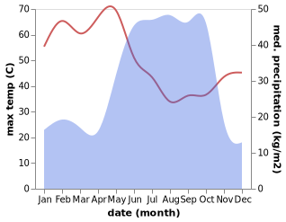 temperature and rainfall during the year in Birao