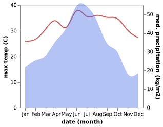 temperature and rainfall during the year in Longjin