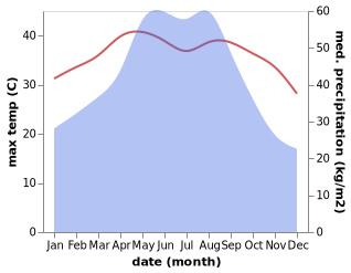 temperature and rainfall during the year in Buji