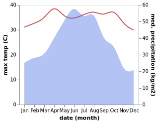 temperature and rainfall during the year in Dalonghua