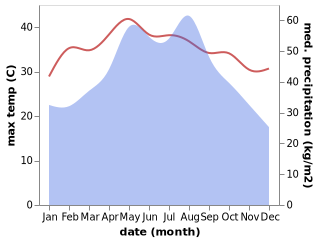 temperature and rainfall during the year in Leiming