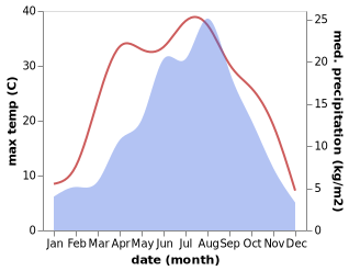 temperature and rainfall during the year in Shenlin