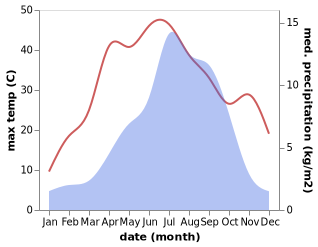 temperature and rainfall during the year in Naidong