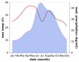 temperature and rainfall during the year in Dedang