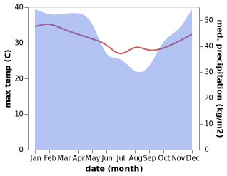 temperature and rainfall during the year in Chindini