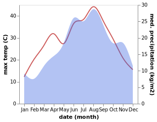 temperature and rainfall during the year in Dubravice