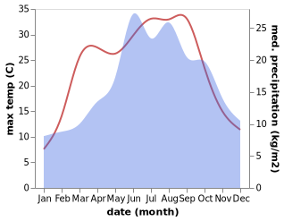 temperature and rainfall during the year in Dolni Prim