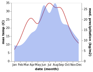 temperature and rainfall during the year in Hodonice