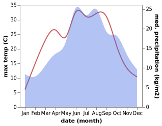 temperature and rainfall during the year in Braskov