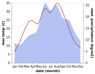 temperature and rainfall during the year in Petrovice