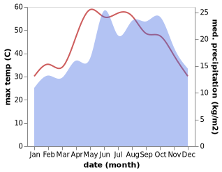 temperature and rainfall during the year in Al Jamaliyah