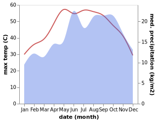 temperature and rainfall during the year in Tamiyah