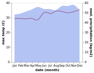 temperature and rainfall during the year in Mbini