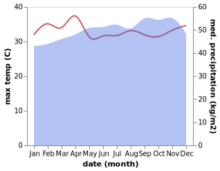 temperature and rainfall during the year in Bata