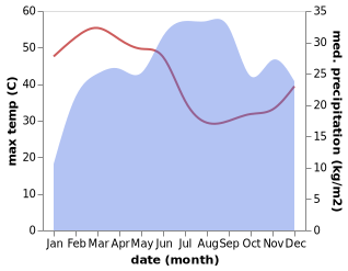 temperature and rainfall during the year in Dejen