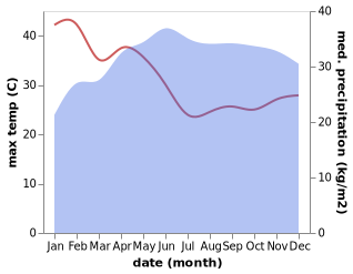 temperature and rainfall during the year in Tippi