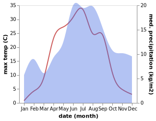 temperature and rainfall during the year in Honkajoki