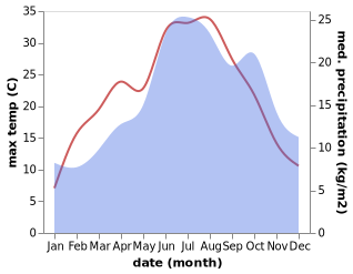 temperature and rainfall during the year in Bruebach