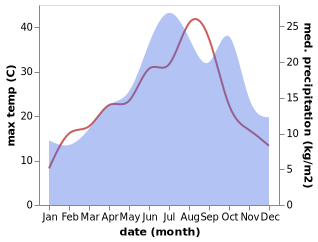 temperature and rainfall during the year in Binges