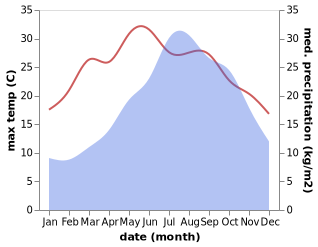 temperature and rainfall during the year in Castellare-di-Casinca