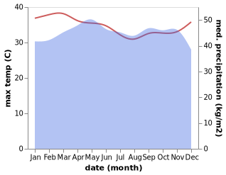 temperature and rainfall during the year in Bitam