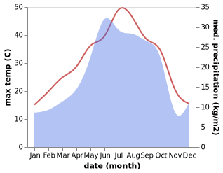 temperature and rainfall during the year in Didi Lilo