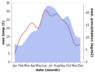 temperature and rainfall during the year in Buchheim