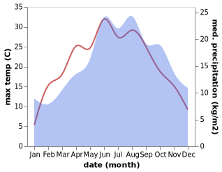 temperature and rainfall during the year in Bad Windsheim