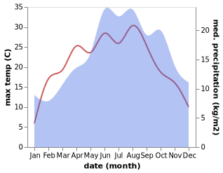 temperature and rainfall during the year in Butthard