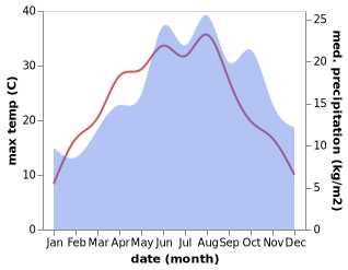 temperature and rainfall during the year in Bad Homburg