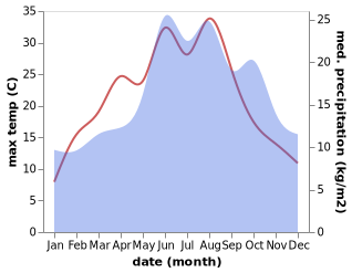 temperature and rainfall during the year in Bienrode